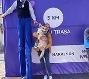 Korgis Kobis
