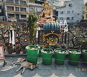 Eglės Strackaitės vie&scaron;nagė Katmandu