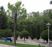 Teheranas turi parkų