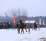&bdquo;Sartų lenktynės 2018&ldquo; 