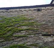 Pilies siena