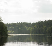 Žiežulio takas vedantis link Žiežulio ežero
