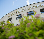 Vilniaus &Scaron;v. Roko ligoninė