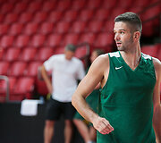 Mantas Kalnietis