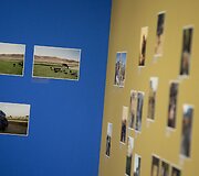 Jono Dovidėno fotografijų paroda &bdquo;11 kelionių į Afganistaną&ldquo;