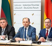 Linas Linkevičius, Nerijus Aleksiejūnas, Žygimantas Pavilionis