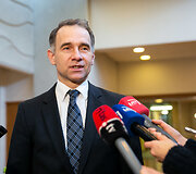 Rokas Masiulis