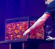 &bdquo;The Illusionists&ldquo; &scaron;ou akimirka
