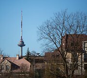 Saulėtas, bet vėsus pavasaris Vilniuje
