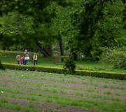 Festivalis &bdquo;PaVINGiuojam&ldquo; Vingio parke