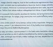 Naujo literatūros ir meno festivalio &bdquo;Open Books&ldquo; pristatymo akimirka