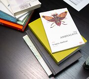 Naujo literatūros ir meno festivalio &bdquo;Open Books&ldquo; pristatymo akimirka