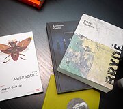 Naujo literatūros ir meno festivalio &bdquo;Open Books&ldquo; pristatymo akimirka