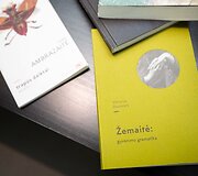 Naujo literatūros ir meno festivalio &bdquo;Open Books&ldquo; pristatymo akimirka