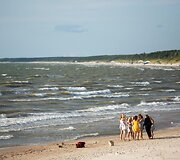 Vėjuotas vakaras Palangoje