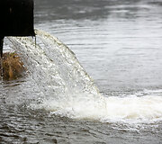 Aplinkosaugininkų i&scaron;vyka į &bdquo;Grigeo&ldquo; Grigi&scaron;kėse