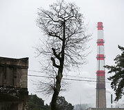 Aplinkosaugininkų i&scaron;vyka į &bdquo;Grigeo&ldquo; Grigi&scaron;kėse