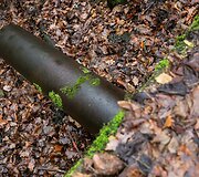 Aplinkosaugininkų i&scaron;vyka į &bdquo;Grigeo&ldquo; Grigi&scaron;kėse