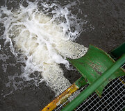 Aplinkosaugininkų i&scaron;vyka į &bdquo;Grigeo&ldquo; Grigi&scaron;kėse