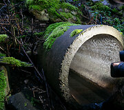Aplinkosaugininkų i&scaron;vyka į &bdquo;Grigeo&ldquo; Grigi&scaron;kėse