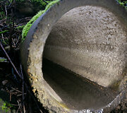 Aplinkosaugininkų i&scaron;vyka į &bdquo;Grigeo&ldquo; Grigi&scaron;kėse