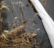 Į Nerį Vilniaus Antakalnyje tekėjusias nuotekas stabdo bonais