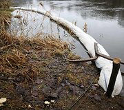 Į Nerį Vilniaus Antakalnyje tekėjusias nuotekas stabdo bonais