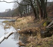Į Nerį Vilniaus Antakalnyje tekėjusias nuotekas stabdo bonais