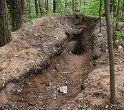Apleisti kariniai bunkeriai esantys Kojelavičiaus gatvėje