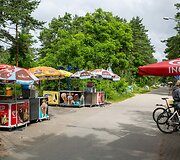 Ledų prekyba Palangoje