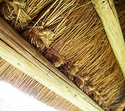 Nendriniai stogai Rum&scaron;i&scaron;kių Lietuvos liaudies buities muziejuje