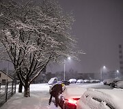 Rytas su besitęsiančia pūga Vilniuje