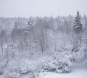 Rytas su besitęsiančia pūga Vilniuje