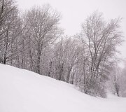 Vilnių užklojęs gausus sniegas