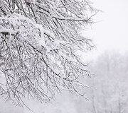 Vilnių užklojęs gausus sniegas
