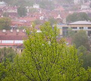 Lietaus gaivinamas Vilnius ir jo gamta