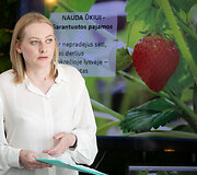 Tarptautinio &bdquo;EITFOOD EWA&ldquo; projekto pradžia