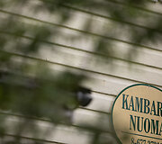 Kambarių nuoma