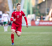 Linas Mėgelaitis