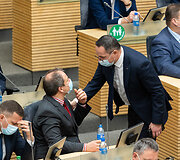 Giedrius Surplys ir Žygimantas Pavilionis
