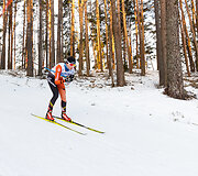 Ieva Dainytė