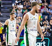 Ignas Brazdeikis