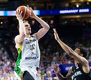 Marius Grigonis