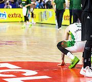 Ignas Brazdeikis
