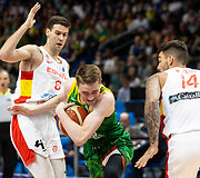 Marius Grigonis