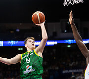 Rokas Jokubaitis
