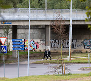 &Scaron;iemet pasodinti medžiai Ateities gatvėje ties Geležinio Vilko gatvės viaduku