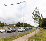 &Scaron;iemet pasodinti medžiai ties Jeruzalės ir Ateities gatvių sankryža