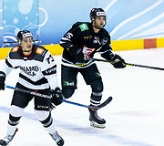 Lietuvos ir Latvijos ledo ritulio lygos rungtynės: &bdquo;7bet Hockey Punks&ldquo; - &bdquo;Dinamo&ldquo;