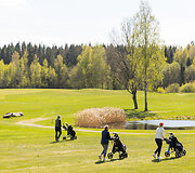 Hiatus Golfo Taurė 2023
